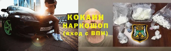 гидра Алексеевка