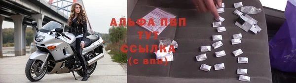 стафф Абаза