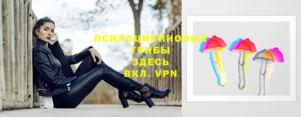 прущие грибы Алексин