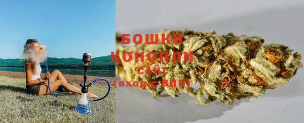 твердый Алзамай