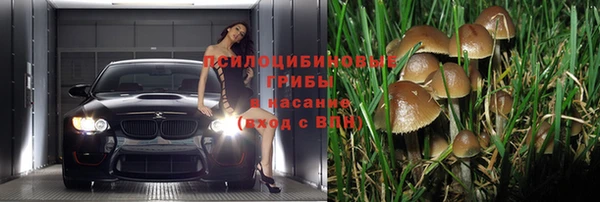 гидра Алексеевка