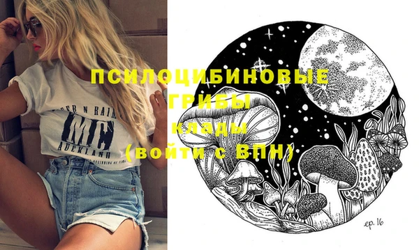 твердый Алзамай